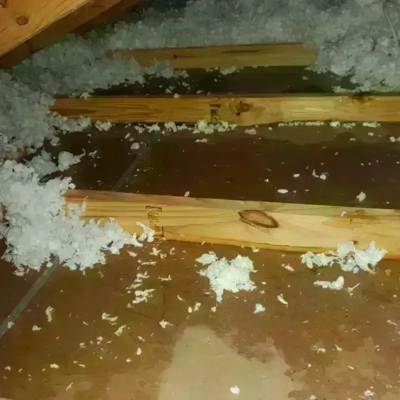 Attic Water Damage in Willow Grove, PA